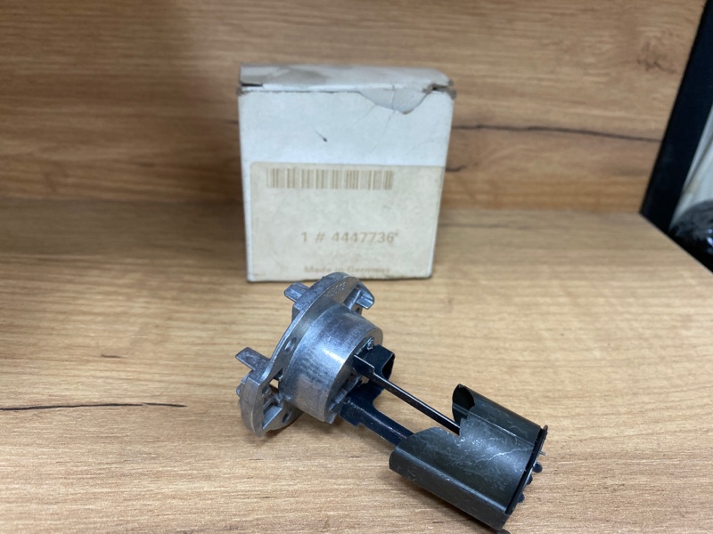 Цоколь лампы, 1000 рублей, Молоково