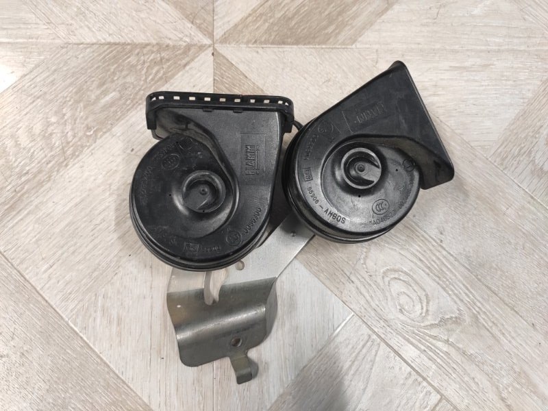 Звуковой сигнал, 2500 рублей, Молоково