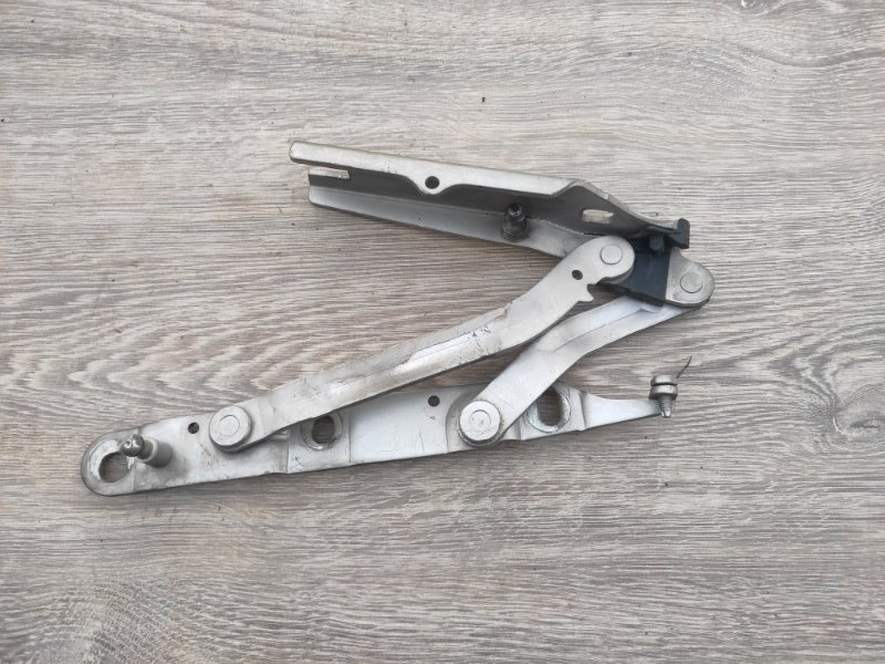 Петля крышки багажника, 1000 рублей, Молоково