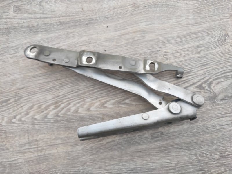 Петля крышки багажника, 1000 рублей, Молоково