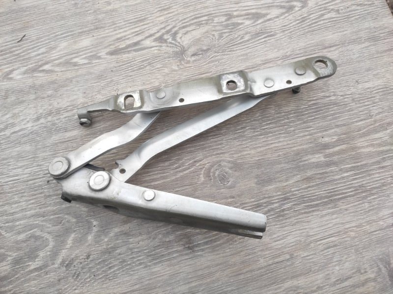 Петля крышки багажника, 1000 рублей, Молоково