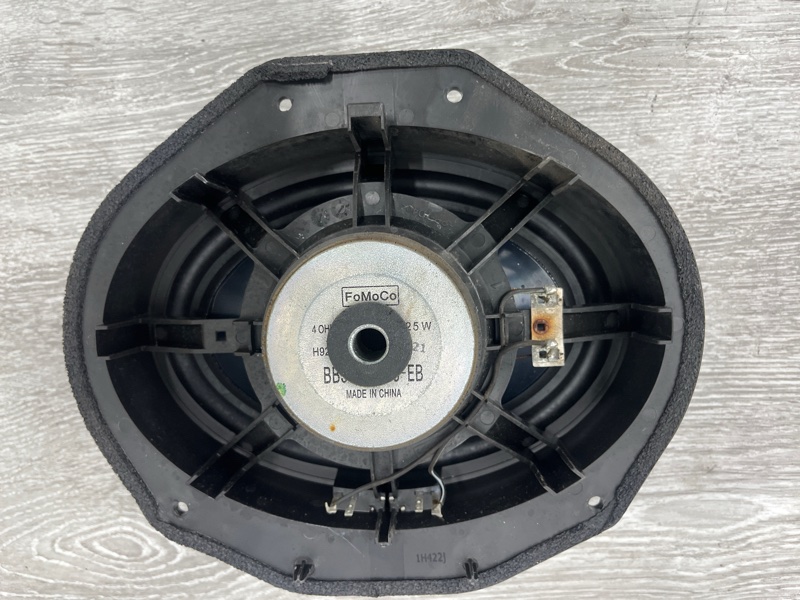 Динамик, 2100 рублей, Молоково