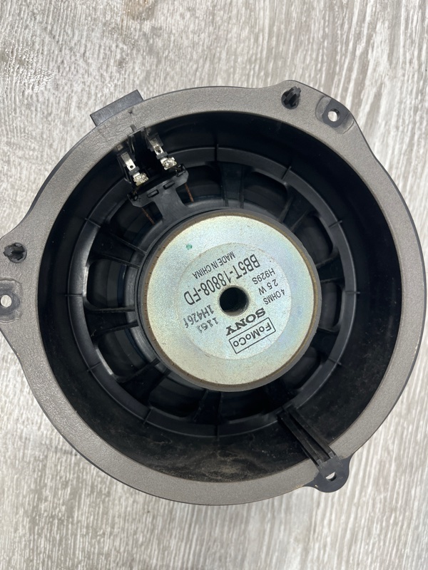 Динамик, 1500 рублей, Молоково