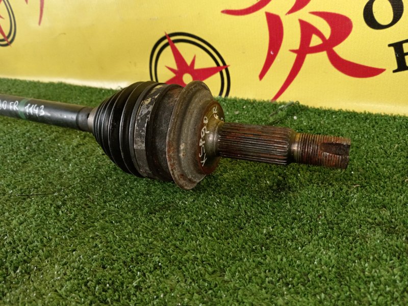 Привод, 1000 рублей, Красноярск