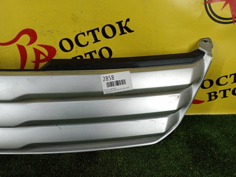 Решетка радиатора, 500 рублей, Красноярск