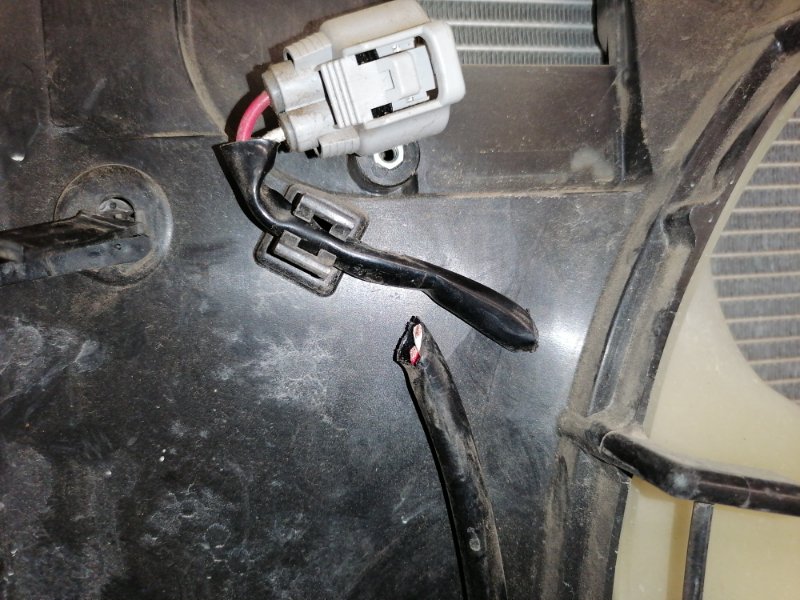 Радиатор охлаждения двигателя, 6500 рублей, Красноярск