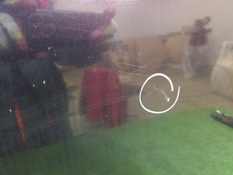 Дверь боковая, 7000 рублей, Красноярск