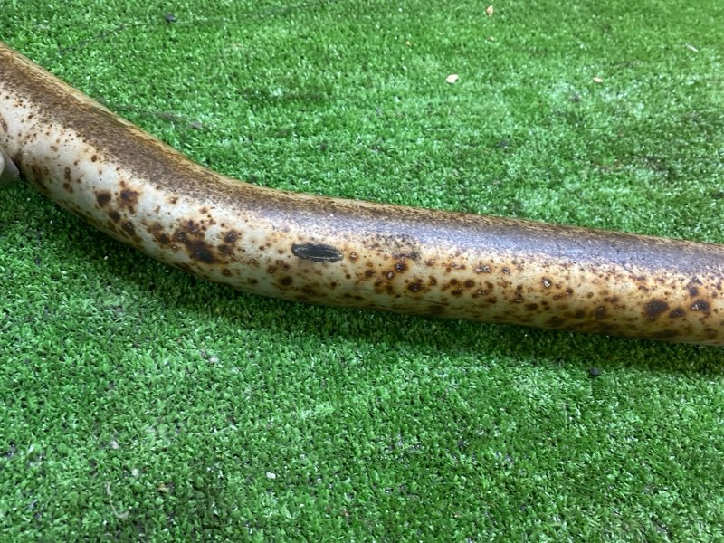 Резонатор глушителя, 3500 рублей, Красноярск