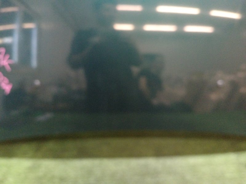 Капот, 2000 рублей, Красноярск