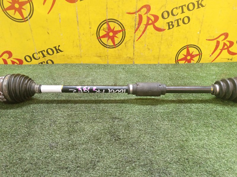 Привод, 1000 рублей, Красноярск