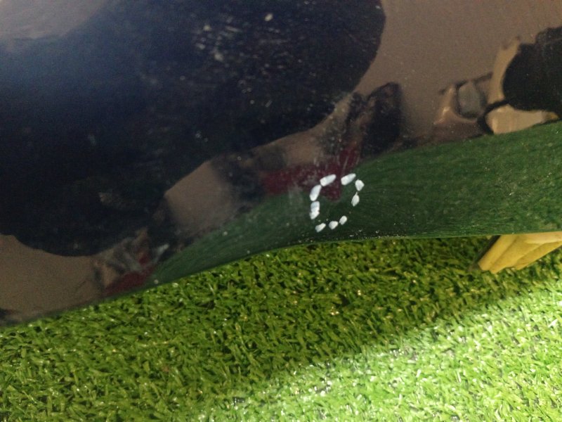 Крыло, 14000 рублей, Красноярск