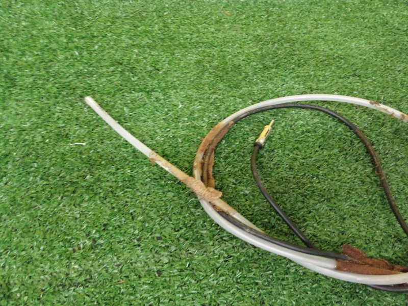 Антенна, 1000 рублей, Красноярск