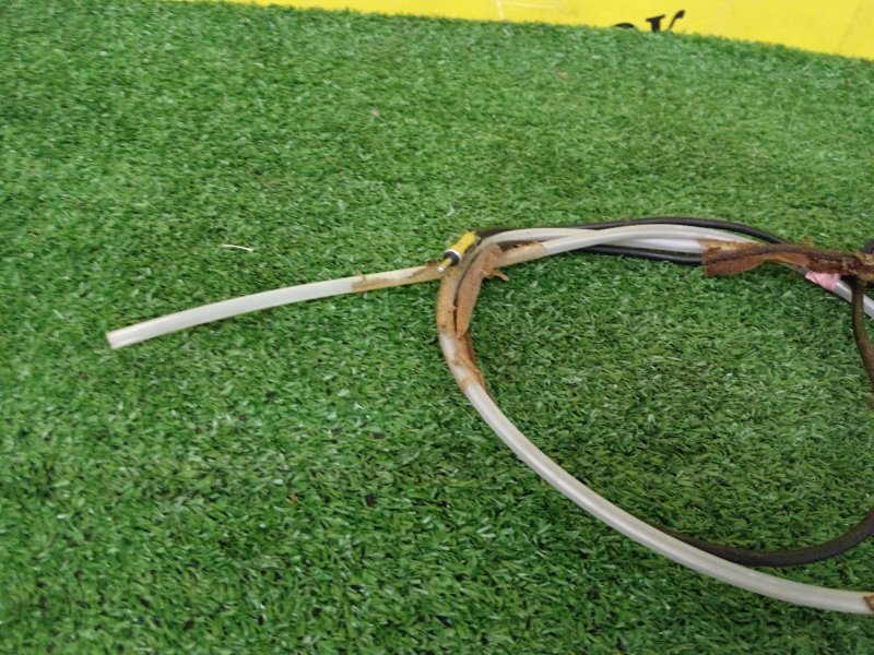 Антенна, 1000 рублей, Красноярск