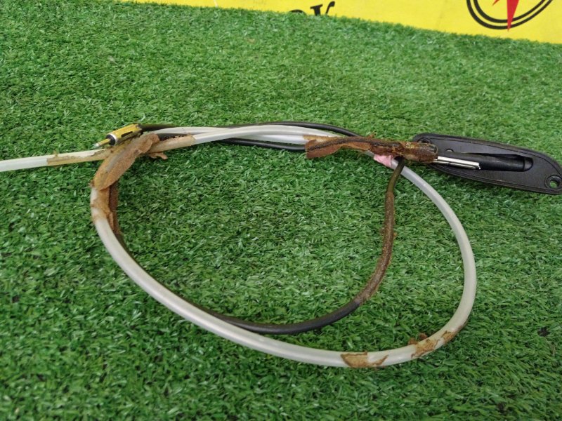 Антенна, 1000 рублей, Красноярск