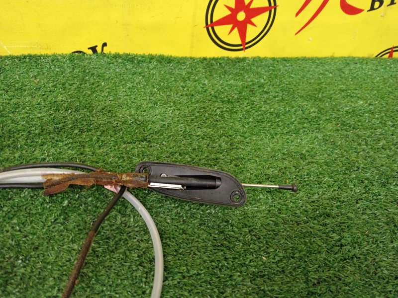 Антенна, 1000 рублей, Красноярск