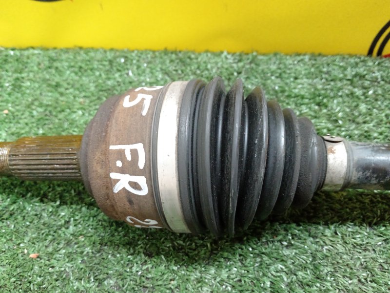 Привод, 1000 рублей, Красноярск