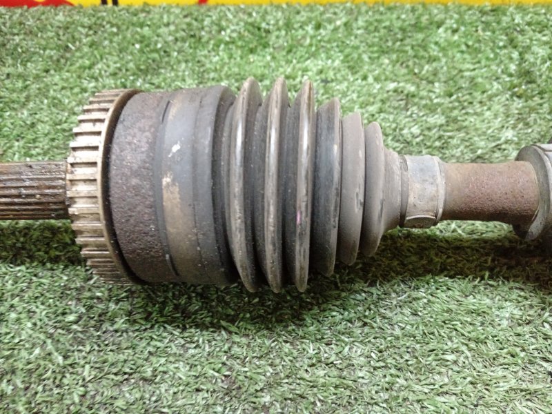 Привод, 1500 рублей, Красноярск