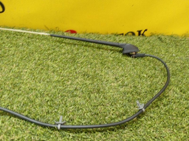 Антенна, 500 рублей, Красноярск