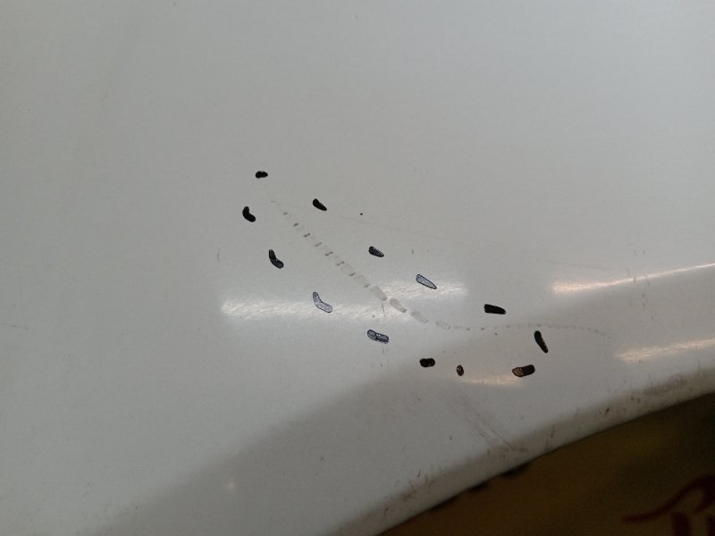 Крыло, 15000 рублей, Красноярск