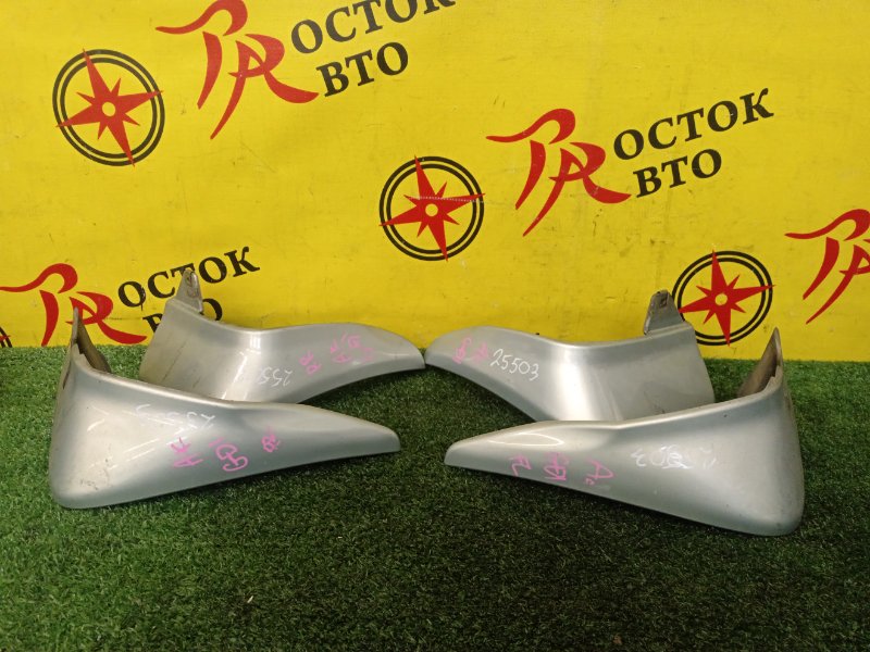 Брызговик, 1000 рублей, Красноярск