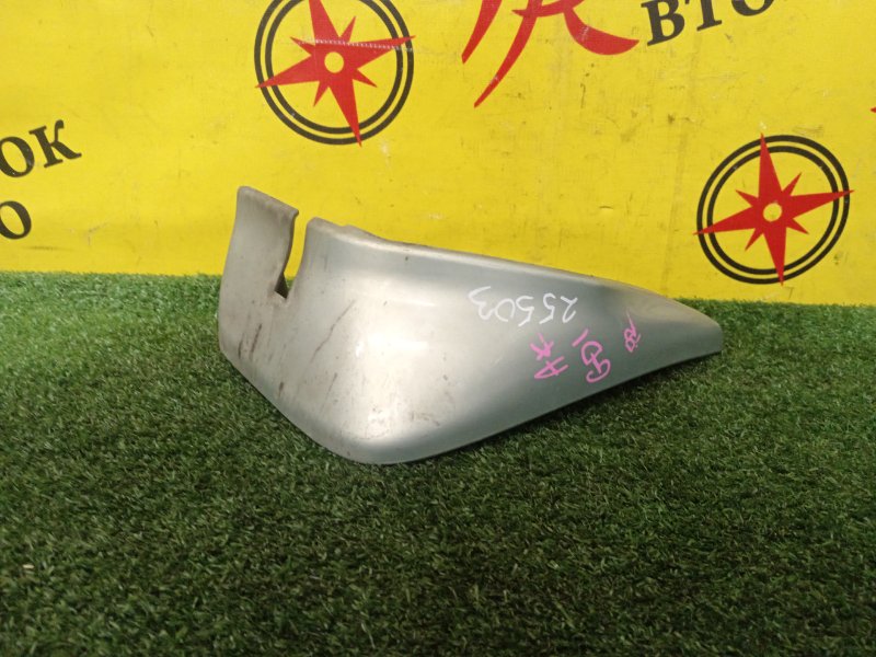 Брызговик, 1000 рублей, Красноярск