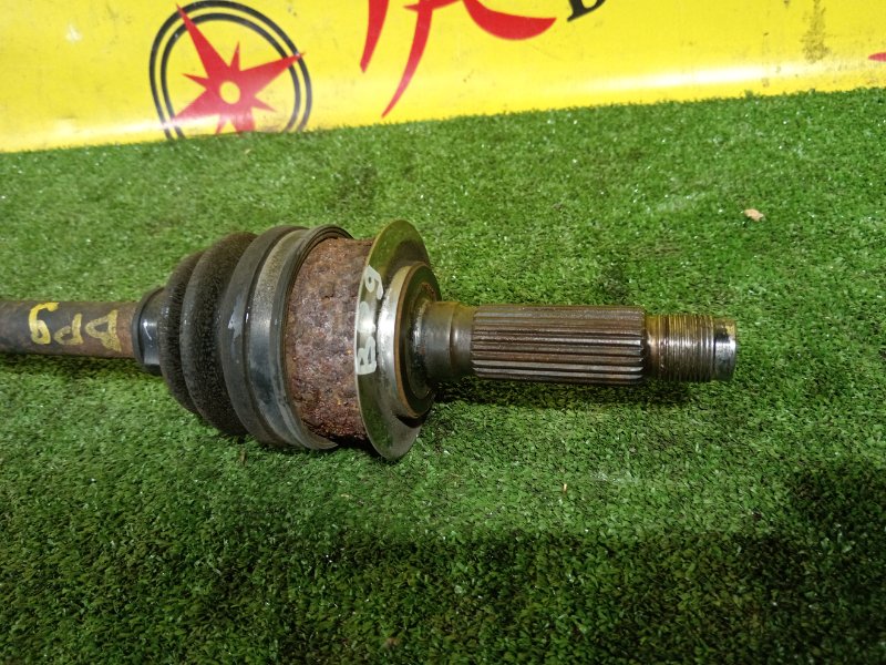 Привод, 1000 рублей, Красноярск