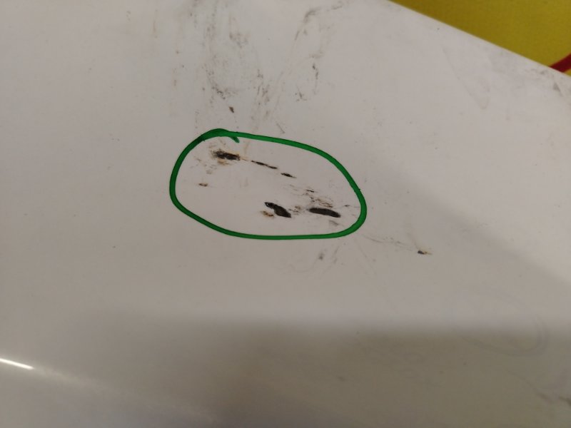 Крыло, 4000 рублей, Красноярск