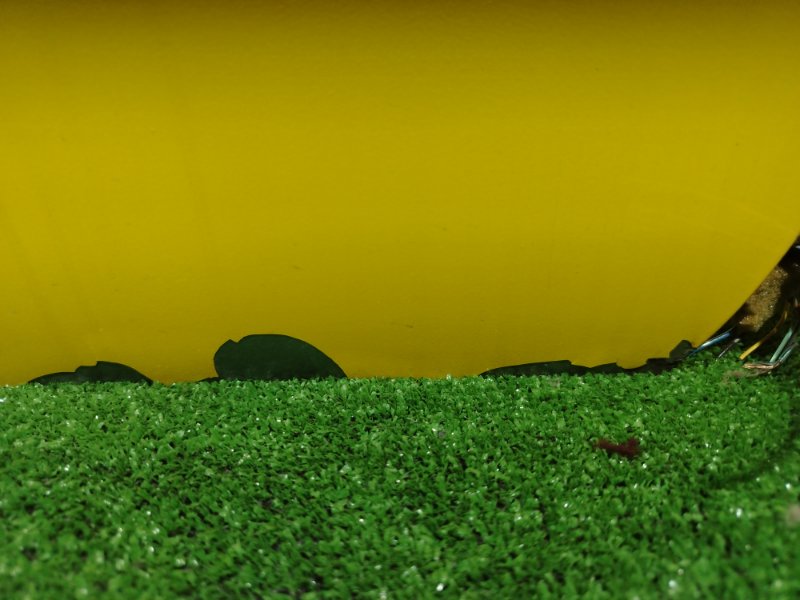 дверь, 4000 рублей, Красноярск