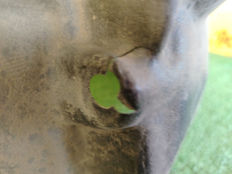 Подкрылок, 2000 рублей, Красноярск