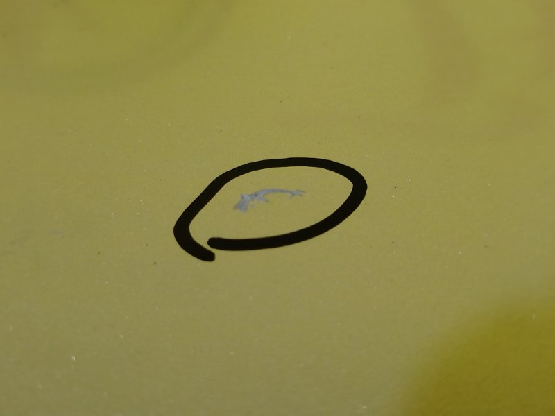 дверь задняя, 8500 рублей, Красноярск