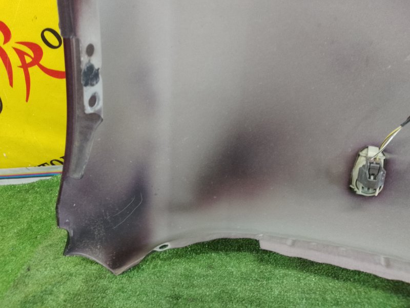 Крыло, 2500 рублей, Красноярск