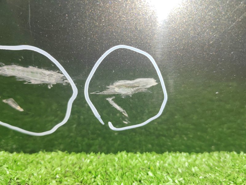 дверь, 12500 рублей, Красноярск