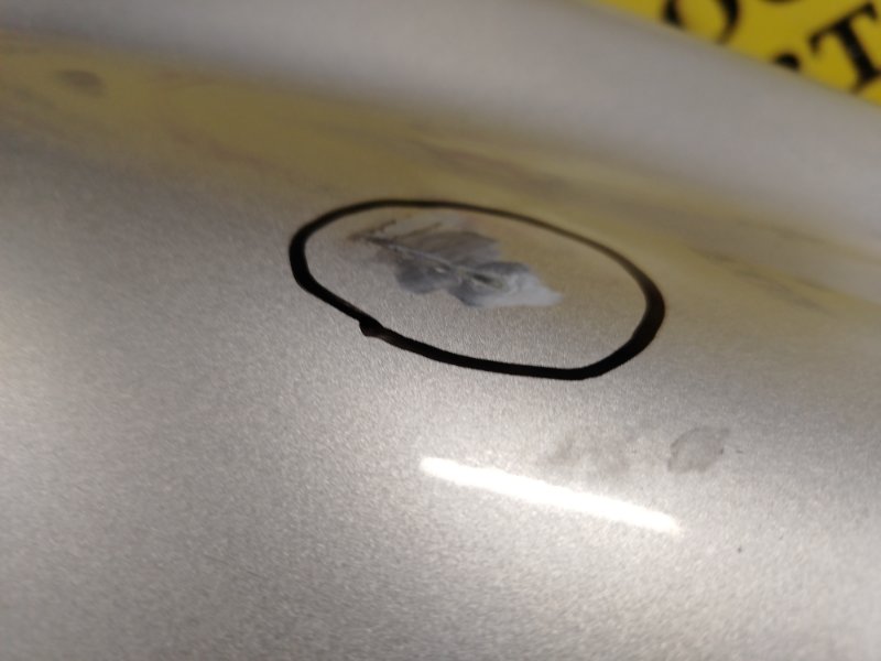 Крыло, 1500 рублей, Красноярск