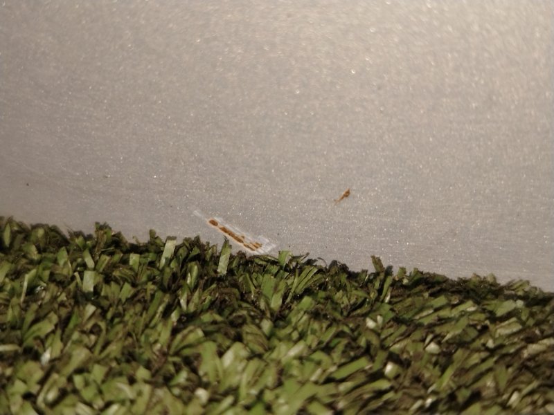 дверь задняя, 35000 рублей, Красноярск