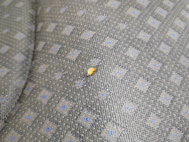 сидение, 22000 рублей, Красноярск