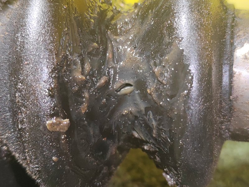 Привод, 1500 рублей, Красноярск