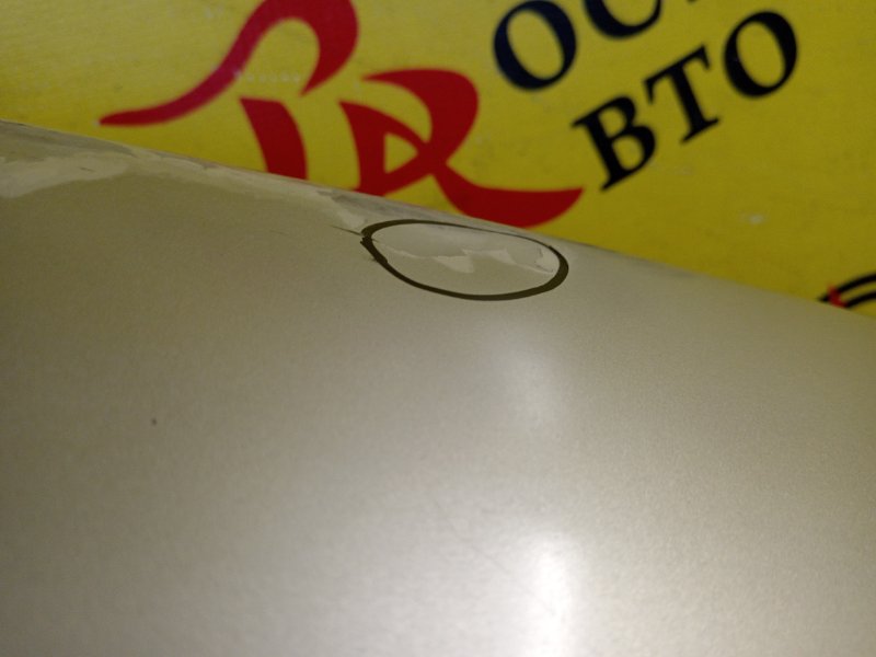 Крыло, 2500 рублей, Красноярск