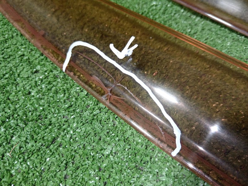 ветровик, 1000 рублей, Красноярск