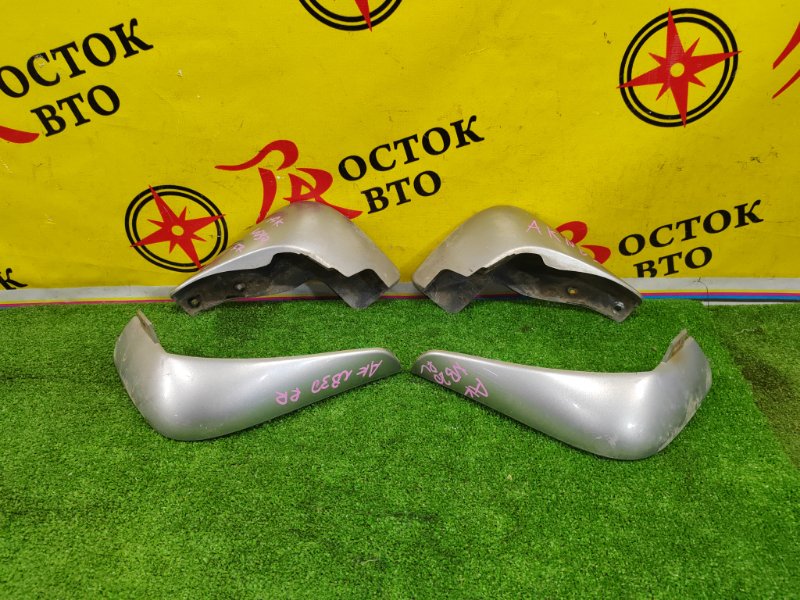 Брызговик, 2000 рублей, Красноярск