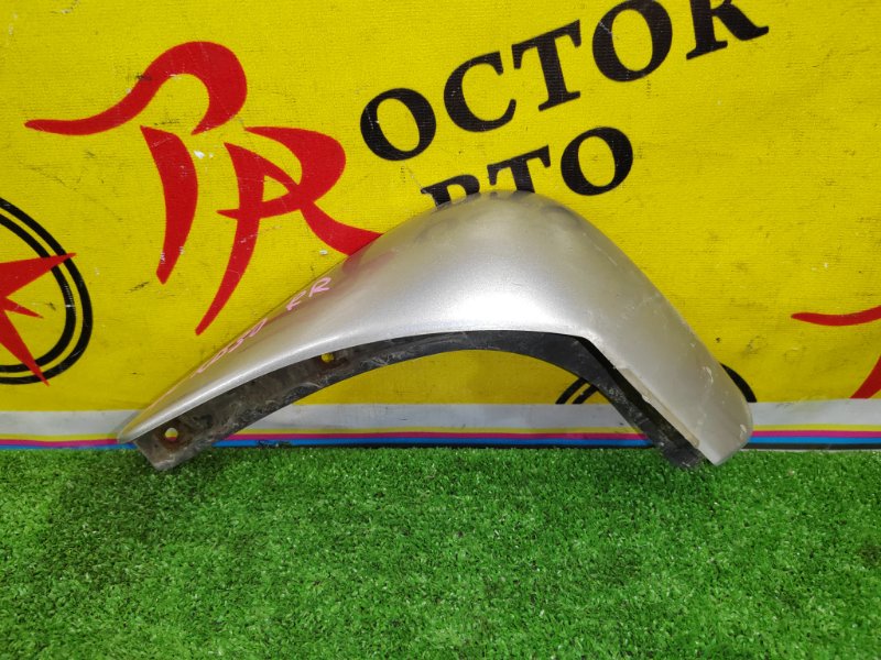 Брызговик, 2000 рублей, Красноярск