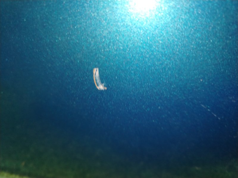 дверь задняя, 5000 рублей, Красноярск