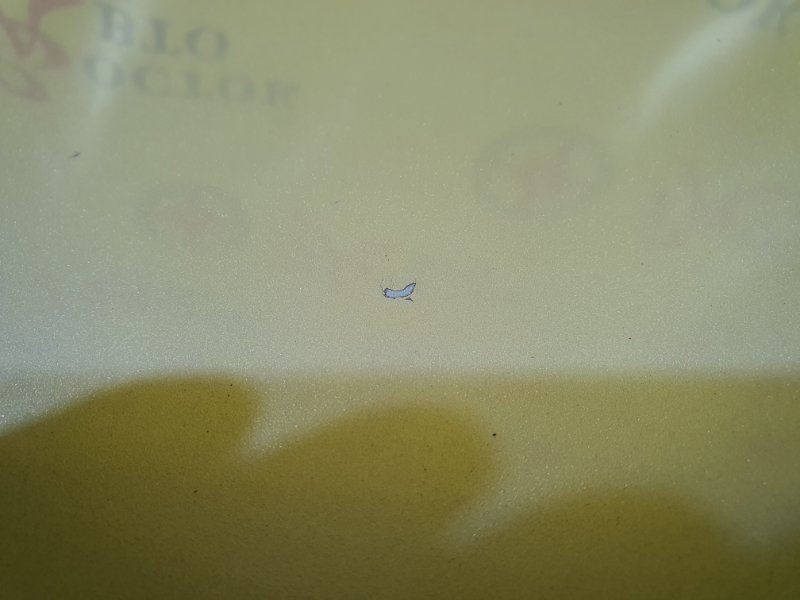 Крышка багажника, 10000 рублей, Красноярск