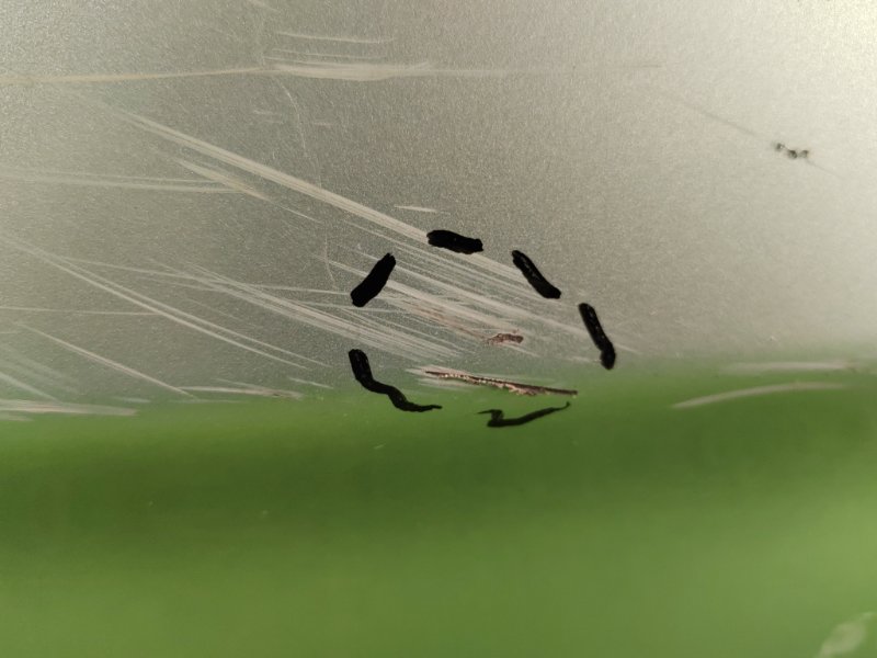 Бампер, 8000 рублей, Красноярск