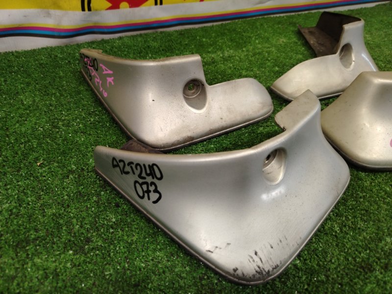 Брызговик, 2000 рублей, Красноярск