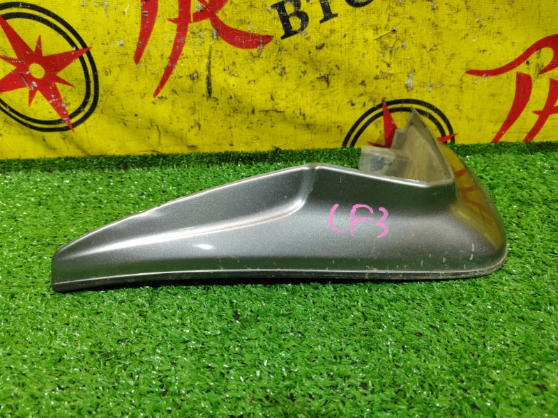 Брызговик, 2000 рублей, Красноярск