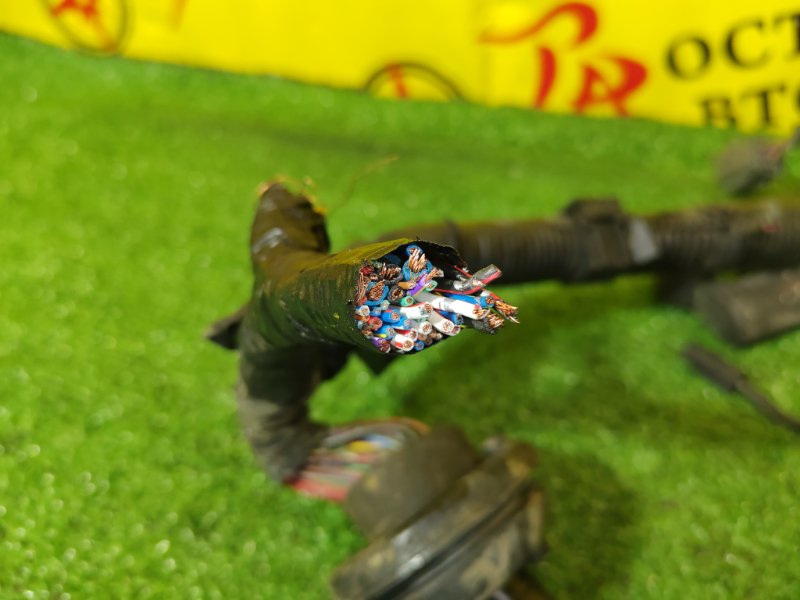 Проводка ДВС, 2000 рублей, Красноярск