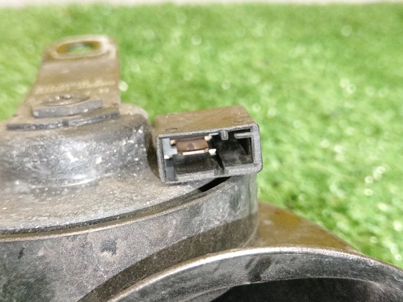 СИГНАЛ, 1000 рублей, Красноярск