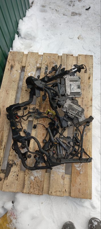 Проводка ДВС, 40000 рублей, Воронеж