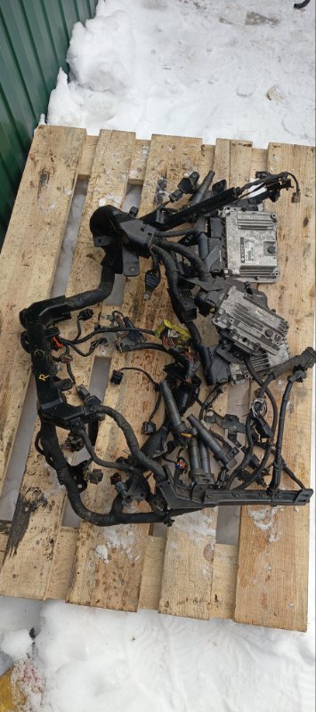 Проводка ДВС, 40000 рублей, Воронеж