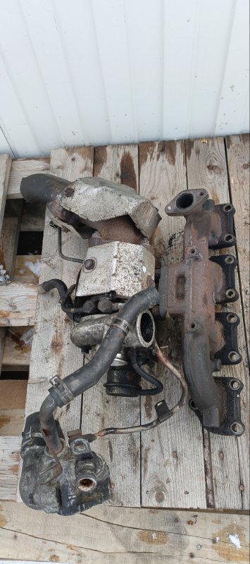 Турбина, 15000 рублей, Воронеж